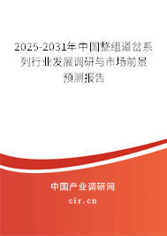 2025-2031年中國整組道岔系列行業(yè)發(fā)展調研與市場前景預測報告