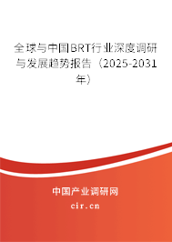 全球與中國BRT行業(yè)深度調研與發(fā)展趨勢報告(2025-2031年) 全球與中國BRT行業(yè)深度調研與發(fā)展趨勢報告(2025-2031年)