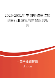 2025-2031年中國(guó)地磁車位檢測(cè)器行業(yè)研究與前景趨勢(shì)報(bào)告