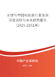 全球與中國電能表行業(yè)發(fā)展深度調(diào)研與未來趨勢報告(2025-2031年) 全球與中國電能表行業(yè)發(fā)展深度調(diào)研與未來趨勢報告(2025-2031年)