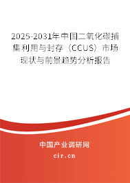 2025-2031年中國二氧化碳捕集利用與封存(CCUS)市場現(xiàn)狀與前景趨勢分析報告 2025-2031年中國二氧化碳捕集利用與封存(CCUS)市場現(xiàn)狀與前景趨勢分析報告