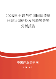 2026年全球與中國固體流量計現(xiàn)狀調研及發(fā)展趨勢走勢分析報告