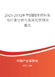 2025-2031年中國固體燃料發(fā)電行業(yè)分析與發(fā)展前景預(yù)測報告