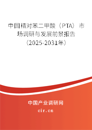 中國精對苯二甲酸（PTA）市場調(diào)研與發(fā)展前景報告（2025-2031年）