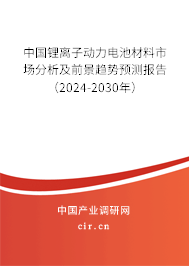 中國鋰離子動力電池材料市場分析及前景趨勢預(yù)測報告（2024-2030年）