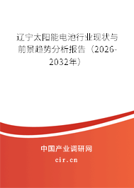 遼寧太陽能電池行業(yè)現(xiàn)狀與前景趨勢分析報告（2026-2032年）