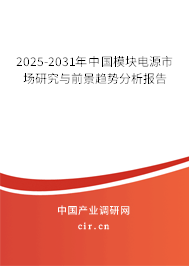 2025-2031年中國模塊電源市場(chǎng)研究與前景趨勢(shì)分析報(bào)告