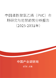 中國柔性聚氯乙烯(PVC)市場研究與前景趨勢分析報(bào)告(2025-2031年) 中國柔性聚氯乙烯(PVC)市場研究與前景趨勢分析報(bào)告(2025-2031年)