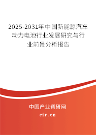 2025-2031年中國新能源汽車動(dòng)力電池行業(yè)發(fā)展研究與行業(yè)前景分析報(bào)告 2025-2031年中國新能源汽車動(dòng)力電池行業(yè)發(fā)展研究與行業(yè)前景分析報(bào)告