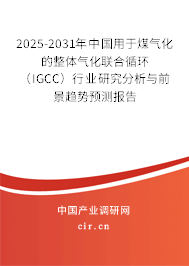 2025-2031年中國用于煤氣化的整體氣化聯(lián)合循環(huán)（IGCC）行業(yè)研究分析與前景趨勢預(yù)測報告