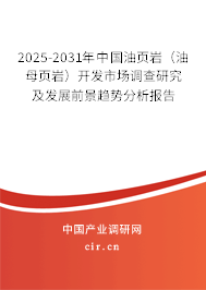 2025-2031年中國(guó)油頁(yè)巖（油母頁(yè)巖）開(kāi)發(fā)市場(chǎng)調(diào)查研究及發(fā)展前景趨勢(shì)分析報(bào)告