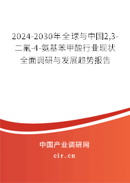 2024-2030年全球與中國2,3-二氟-4-氨基苯甲酸行業(yè)現(xiàn)狀全面調(diào)研與發(fā)展趨勢報告