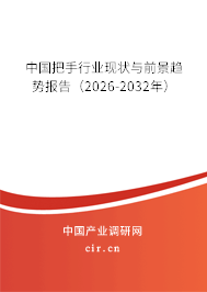 中國(guó)把手行業(yè)現(xiàn)狀與前景趨勢(shì)報(bào)告(2024-2030年) 中國(guó)把手行業(yè)現(xiàn)狀與前景趨勢(shì)報(bào)告(2024-2030年)