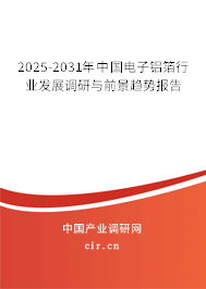 2025-2031年中國電子鋁箔行業(yè)發(fā)展調(diào)研與前景趨勢報告