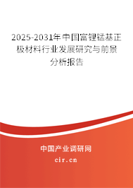 2024-2030年中國(guó)富鋰錳基正極材料行業(yè)發(fā)展研究與前景分析報(bào)告