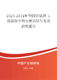 2025-2031年中國甘氨酰-L-酪氨酸市場全面調研與發(fā)展趨勢報告 2025-2031年中國甘氨酰-L-酪氨酸市場全面調研與發(fā)展趨勢報告