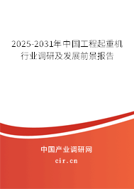 2025-2031年中國工程起重機(jī)行業(yè)調(diào)研及發(fā)展前景報(bào)告 2025-2031年中國工程起重機(jī)行業(yè)調(diào)研及發(fā)展前景報(bào)告