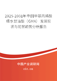 2025-2031年中國甲基丙烯酸縮水甘油酯（GMA）發(fā)展現(xiàn)狀與前景趨勢分析報告