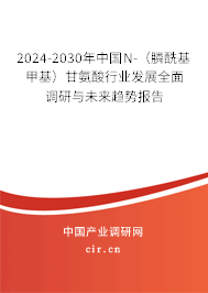2024-2030年中國N-（膦?；谆└拾彼嵝袠I(yè)發(fā)展全面調(diào)研與未來趨勢報告
