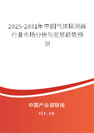 2024-2030年中國氣體探測(cè)器行業(yè)市場(chǎng)分析與前景趨勢(shì)預(yù)測(cè)