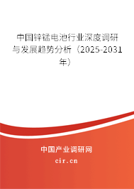 中國鋅錳電池行業(yè)深度調(diào)研與發(fā)展趨勢分析(2025-2031年) 中國鋅錳電池行業(yè)深度調(diào)研與發(fā)展趨勢分析(2025-2031年)