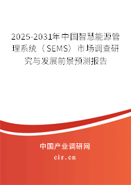 2025-2031年中國智慧能源管理系統(tǒng)（SEMS）市場調(diào)查研究與發(fā)展前景預測報告