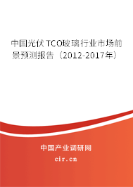 中國光伏TCO玻璃行業(yè)市場前景預(yù)測報告（2012-2017年）