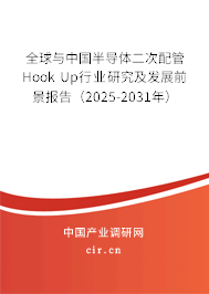 全球與中國半導體二次配管Hook Up行業(yè)研究及發(fā)展前景報告（2025-2031年）