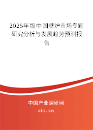 2025年版中國壁爐市場專題研究分析與發(fā)展趨勢預(yù)測報告
