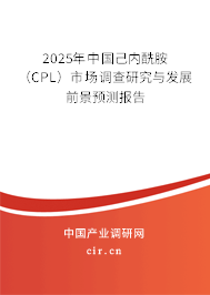 2025年中國己內(nèi)酰胺（CPL）市場調(diào)查研究與發(fā)展前景預(yù)測報告