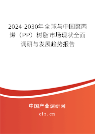 2024-2030年全球與中國聚丙烯（PP）樹脂市場現(xiàn)狀全面調(diào)研與發(fā)展趨勢報告