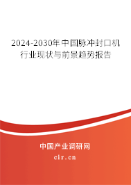 2024-2030年中國脈沖封口機(jī)行業(yè)現(xiàn)狀與前景趨勢(shì)報(bào)告