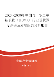 2024-2030年中國N，N-二甲基芐胺（BDMA）行業(yè)現(xiàn)狀深度調(diào)研及發(fā)展趨勢分析報(bào)告