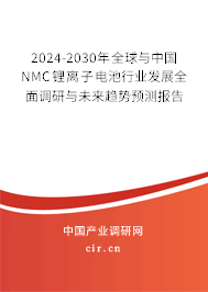 2024-2030年全球與中國(guó)NMC鋰離子電池行業(yè)發(fā)展全面調(diào)研與未來(lái)趨勢(shì)預(yù)測(cè)報(bào)告 2024-2030年全球與中國(guó)NMC鋰離子電池行業(yè)發(fā)展全面調(diào)研與未來(lái)趨勢(shì)預(yù)測(cè)報(bào)告