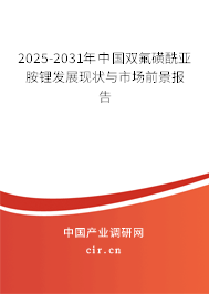 2025-2031年中國雙氟磺酰亞胺鋰發(fā)展現(xiàn)狀與市場前景報(bào)告