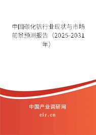 中國碳化釩行業(yè)現(xiàn)狀與市場前景預(yù)測報告（2025-2031年）