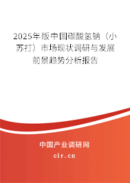 2025年版中國碳酸氫鈉(小蘇打)市場現(xiàn)狀調(diào)研與發(fā)展前景趨勢分析報告 2025年版中國碳酸氫鈉(小蘇打)市場現(xiàn)狀調(diào)研與發(fā)展前景趨勢分析報告