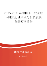 2025-2031年中國下一代互聯網建設行業(yè)研究分析及發(fā)展前景預測報告