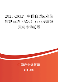 2025-2031年中國(guó)自適應(yīng)巡航控制系統(tǒng)（ACC）行業(yè)發(fā)展研究與市場(chǎng)前景