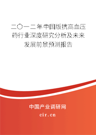 二〇一二年中國版抗高血壓藥行業(yè)深度研究分析及未來發(fā)展前景預(yù)測報告