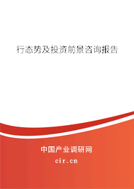 行態(tài)勢及投資前景咨詢報告