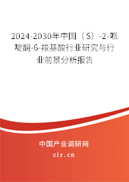 2024-2030年中國(guó)（S）-2-哌啶酮-6-羧基酸行業(yè)研究與行業(yè)前景分析報(bào)告
