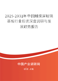 2025-2031年中國觸摸屏玻璃基板行業(yè)現狀深度調研與發(fā)展趨勢報告