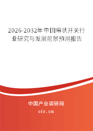 2025-2031年中國帶狀開關(guān)行業(yè)研究與發(fā)展前景預(yù)測報(bào)告
