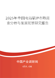 2025年中國電站鍋爐市場調(diào)查分析與發(fā)展前景研究報告