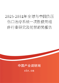 2025-2031年全球與中國負(fù)壓傷口治療系統(tǒng)一次性使用組件行業(yè)研究及前景趨勢(shì)報(bào)告