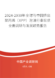 2024-2030年全球與中國(guó)擠出聚丙烯（XPP）泡沫行業(yè)現(xiàn)狀全面調(diào)研與發(fā)展趨勢(shì)報(bào)告