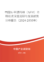 中國N-甲酰嗎啉（NFM）市場現(xiàn)狀深度調(diào)研與發(fā)展趨勢分析報告（2024-2030年）