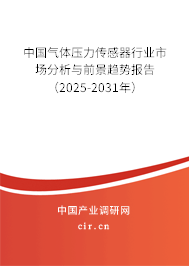 中國氣體壓力傳感器行業(yè)市場分析與前景趨勢報(bào)告（2025-2031年）