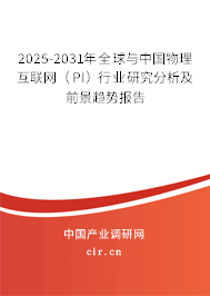 2025-2031年全球與中國物理互聯(lián)網(wǎng)（PI）行業(yè)研究分析及前景趨勢報告